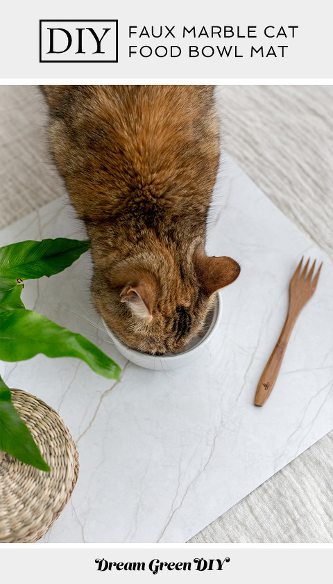 DIY Faux Marble Cat Food Bowl Mat Dream Green DIY