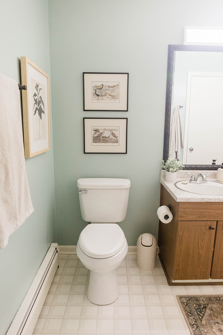 Retro Hall Bathroom Makeover Reveal - Dream Green DIY