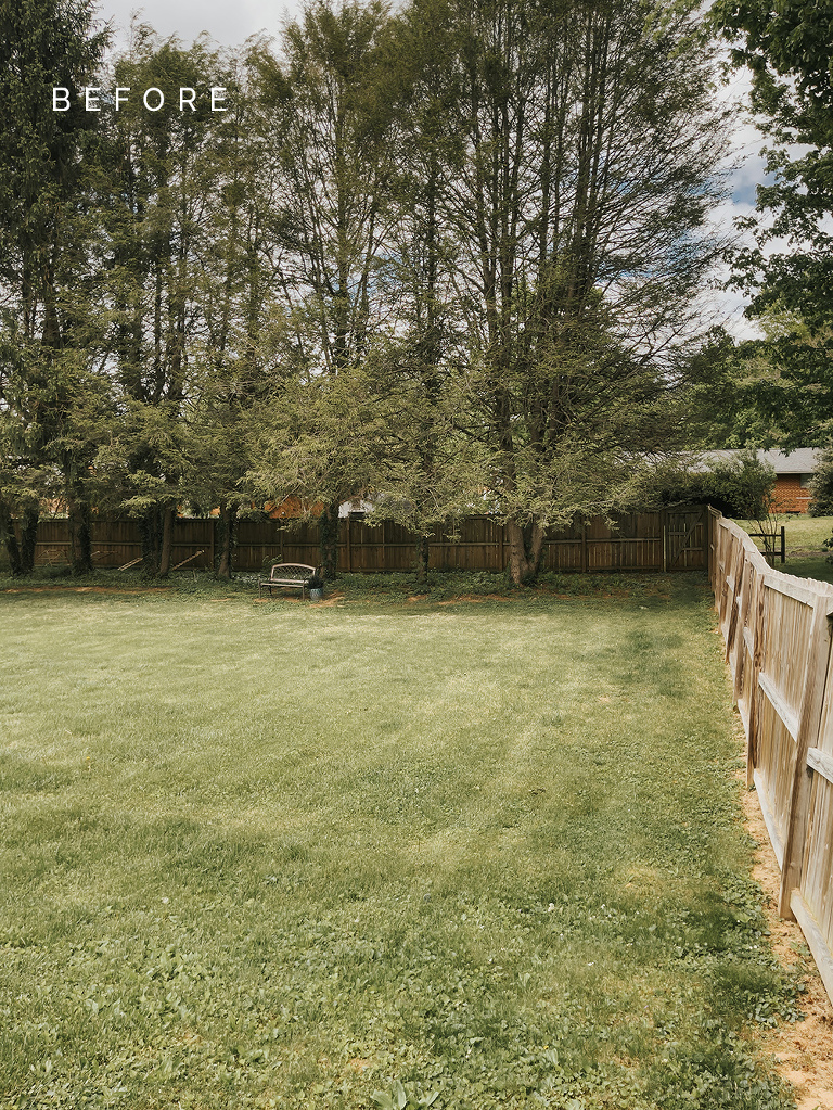 Toro Battery-Powered Lawn Mower Review - Dream Green DIY