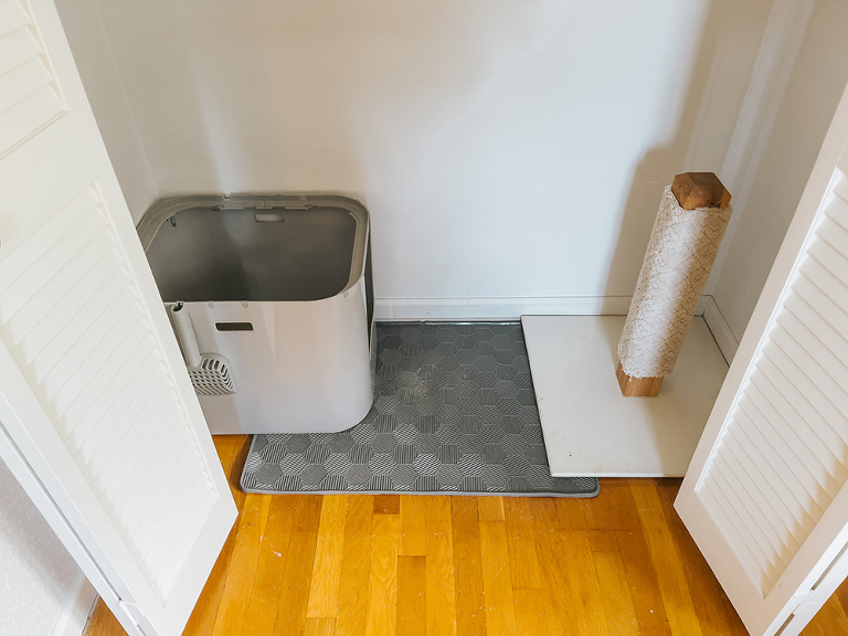 Where to put a litter box in a small apartment