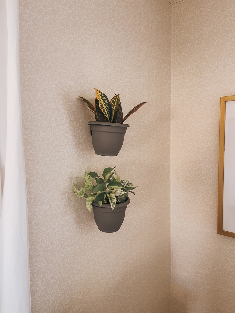 DIY Wall-Mounted Gardening Idea