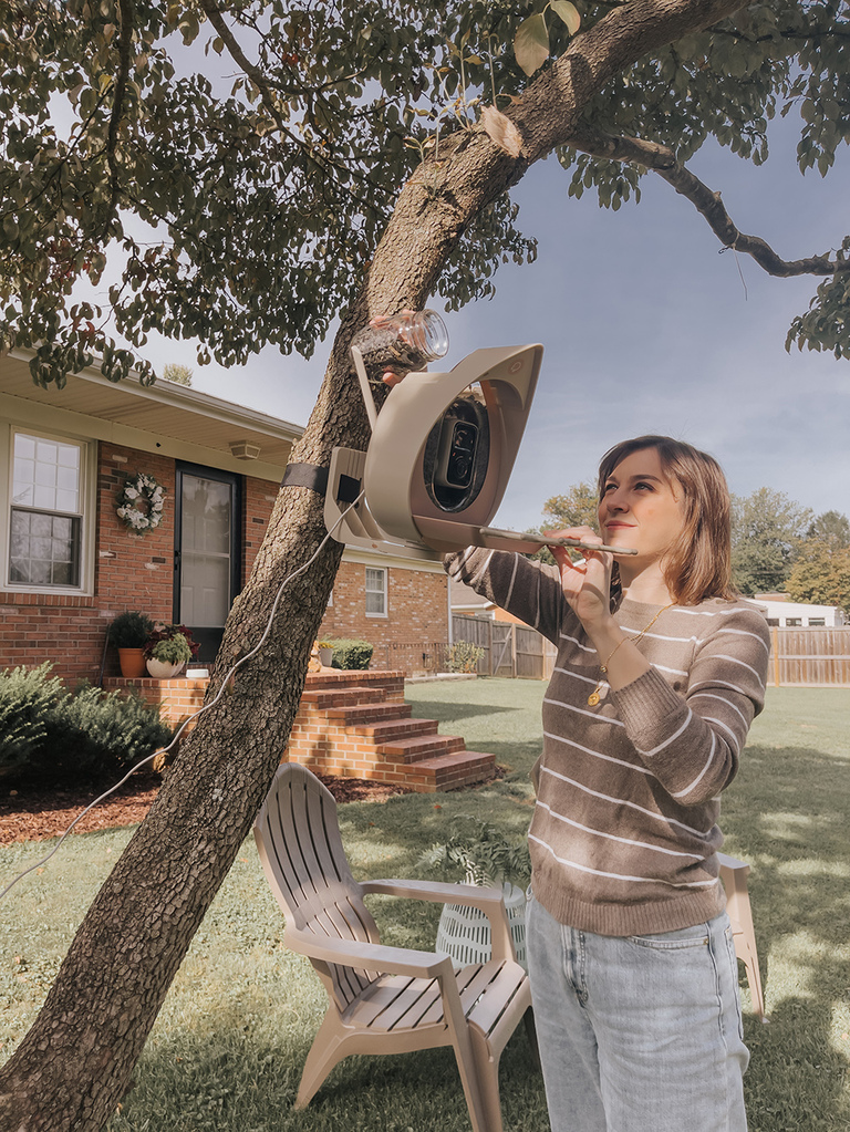 PeckPerk Smart Bird Feeder Review | dreamgreendiy.com + @peckperkllc (ad/gifted)