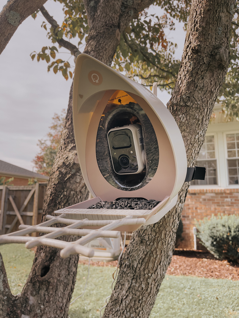 PeckPerk Smart Bird Feeder Review | dreamgreendiy.com + @peckperkllc (ad/gifted)