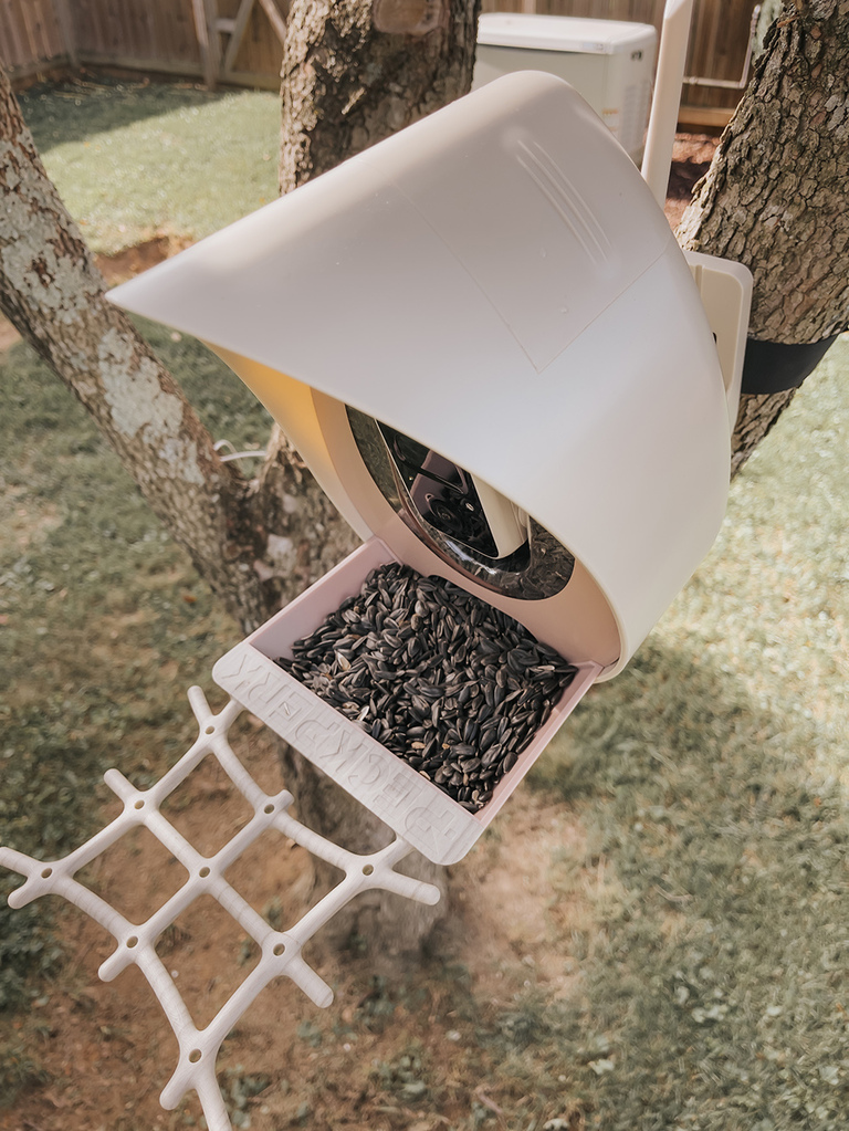 PeckPerk Smart Bird Feeder Review | dreamgreendiy.com + @peckperkllc (ad/gifted)