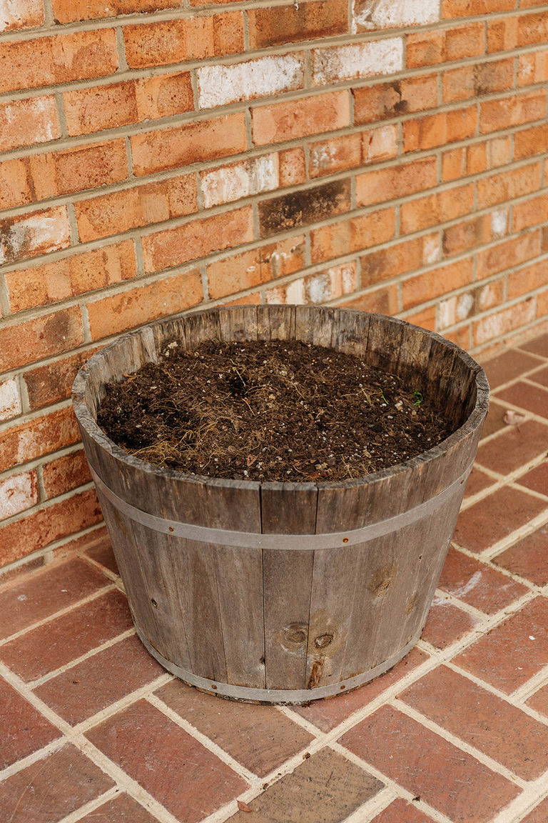 DIY Winter Barrel Garden For Your Porch