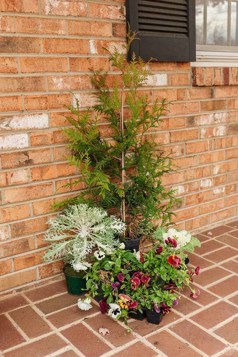 DIY Winter Barrel Garden For Your Porch