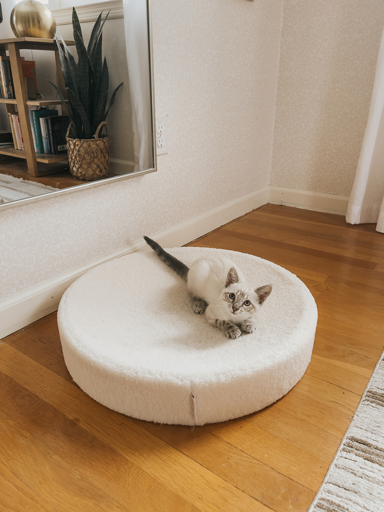 Tuft + Paw Pet Bed And Carrier Review