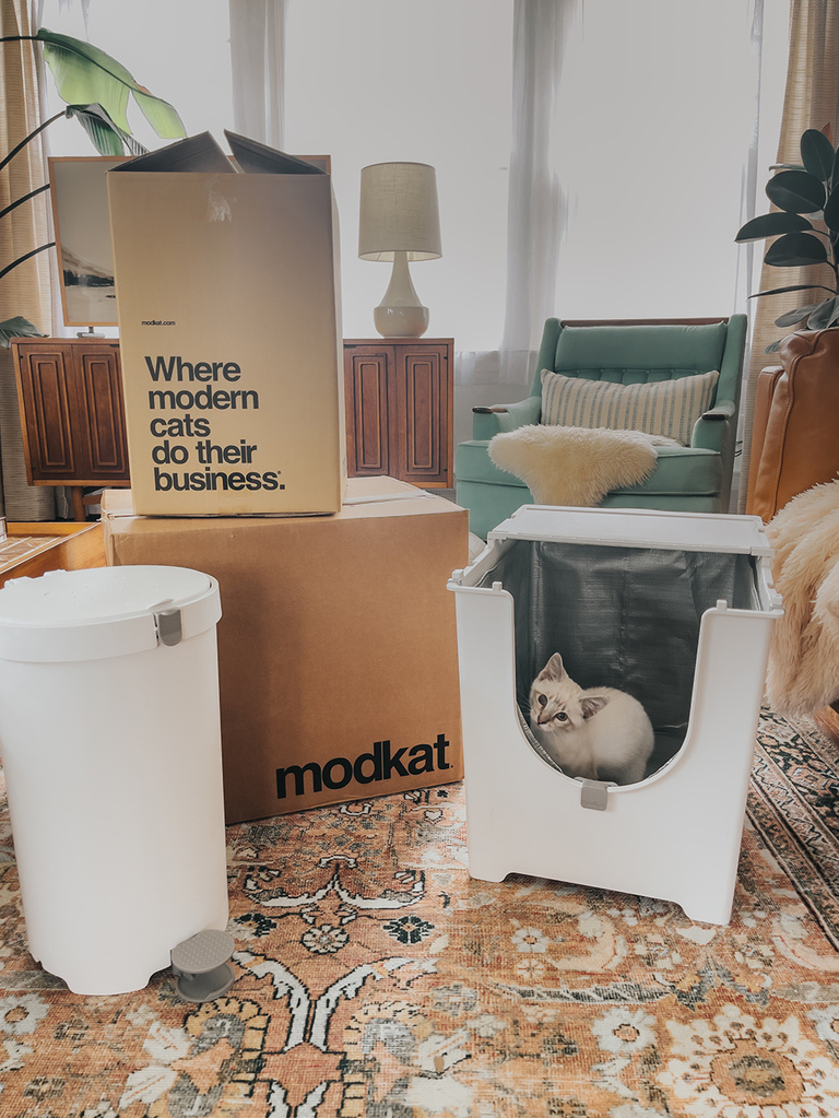 Modern Cat Litter Box Review