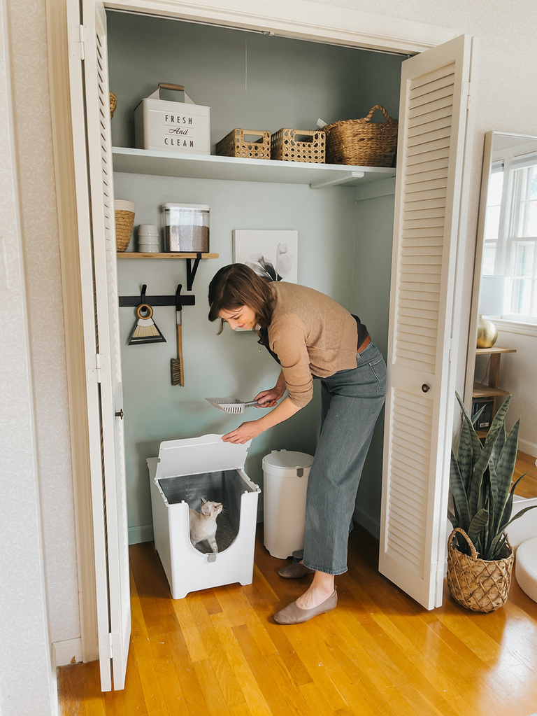 Modern Cat Litter Box Review