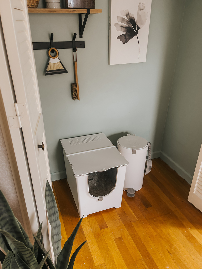 Modern Cat Litter Box Review